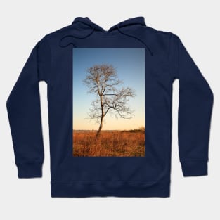 Lone Tree Silhouette Hoodie